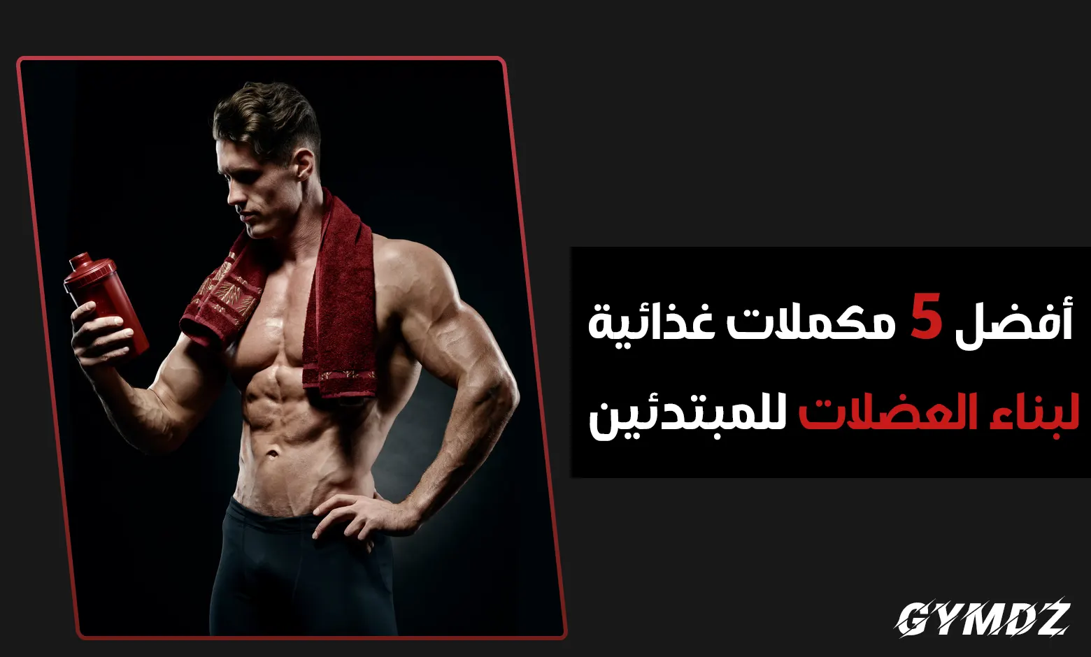 5 مكملات غذائية لبناء العضلات للمبتدئين: دليل شامل