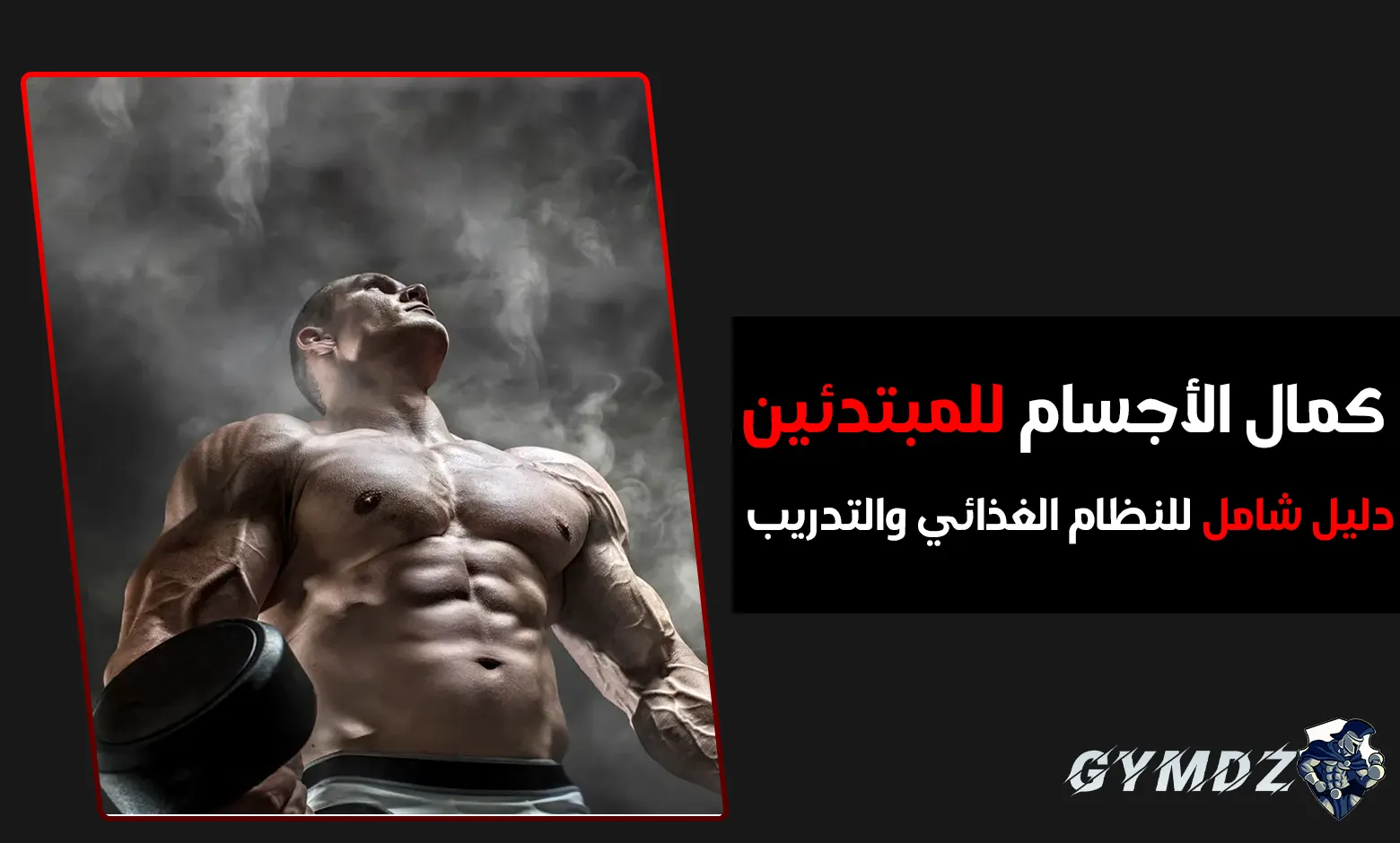 7 خطوات لبناء جسم مثالي للمبتدئين: دليل شامل للنظام الغذائي والتدريب (كمال الأجسام للمبتدئين)